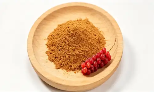 Can Schisandra Extract Powder Support Energy and Focus?
